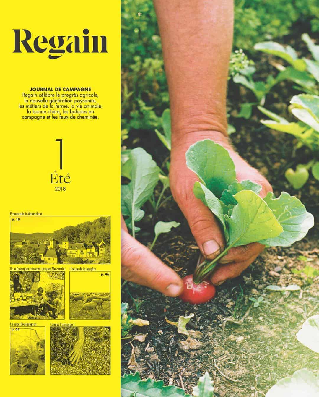 regain