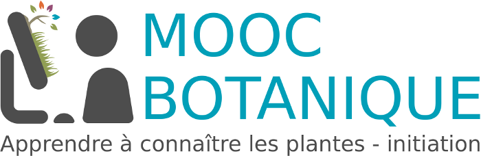 mooc